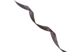 лента нитепрошивная 10мм цв черный (рул 100м) danelli l4yp44 купить по 148 - в интернет - магазине Веллтекс | Тамбов
.