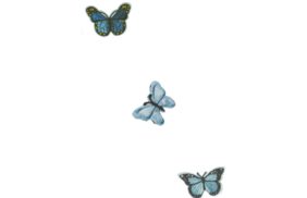 термотрансфер 3 бабочки 5*7,5см купить по 90 - в интернет - магазине Веллтекс | Тамбов
.