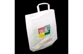 сумка с петлевой ручкой 40+(2*5)*50+5 белый 70 г/м2 с логотипом веллтекс купить по цене 50 руб - в интернет-магазине Веллтекс | Тамбов

